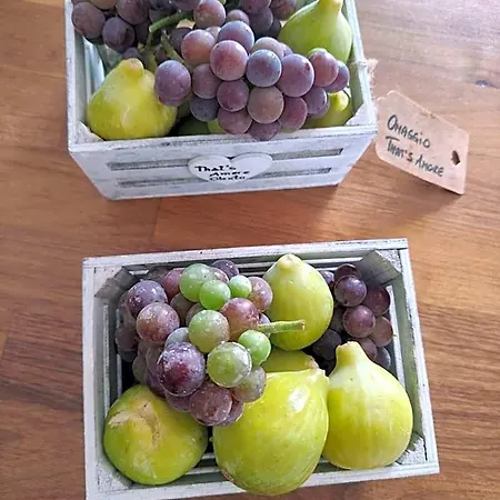 Ξενοδοχείο That's Cilento *